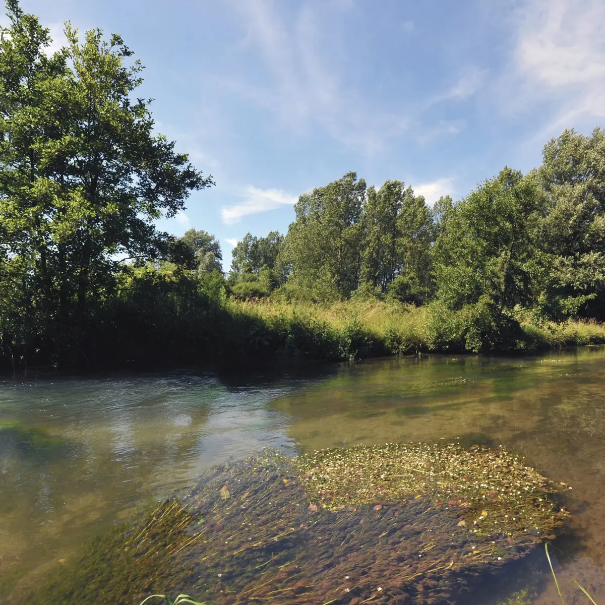 Paysage 2010 FAUQUEMBERGUES © Photo Carl - Tourisme en Pays de Saint-Omer (2)