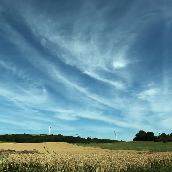 Reclinghem  ©2010 - Comimatex - Office de Tourisme de la Région de Saint-Omer (1)