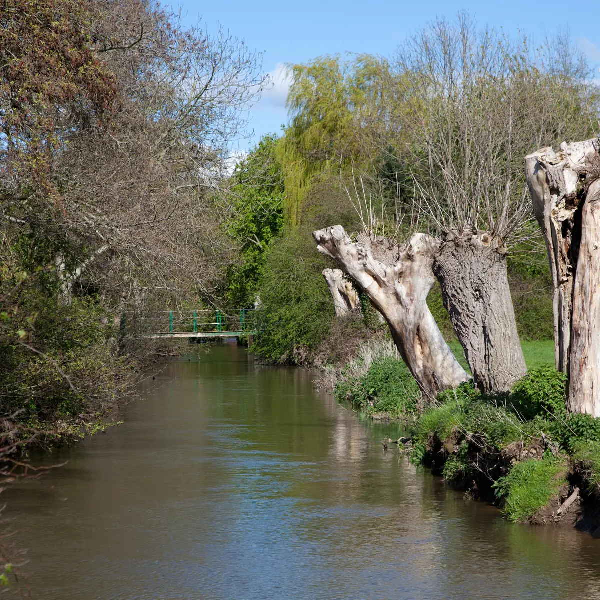 Rivière TOURNEHEM-SUR-LA-HEM © OTAVH (1)