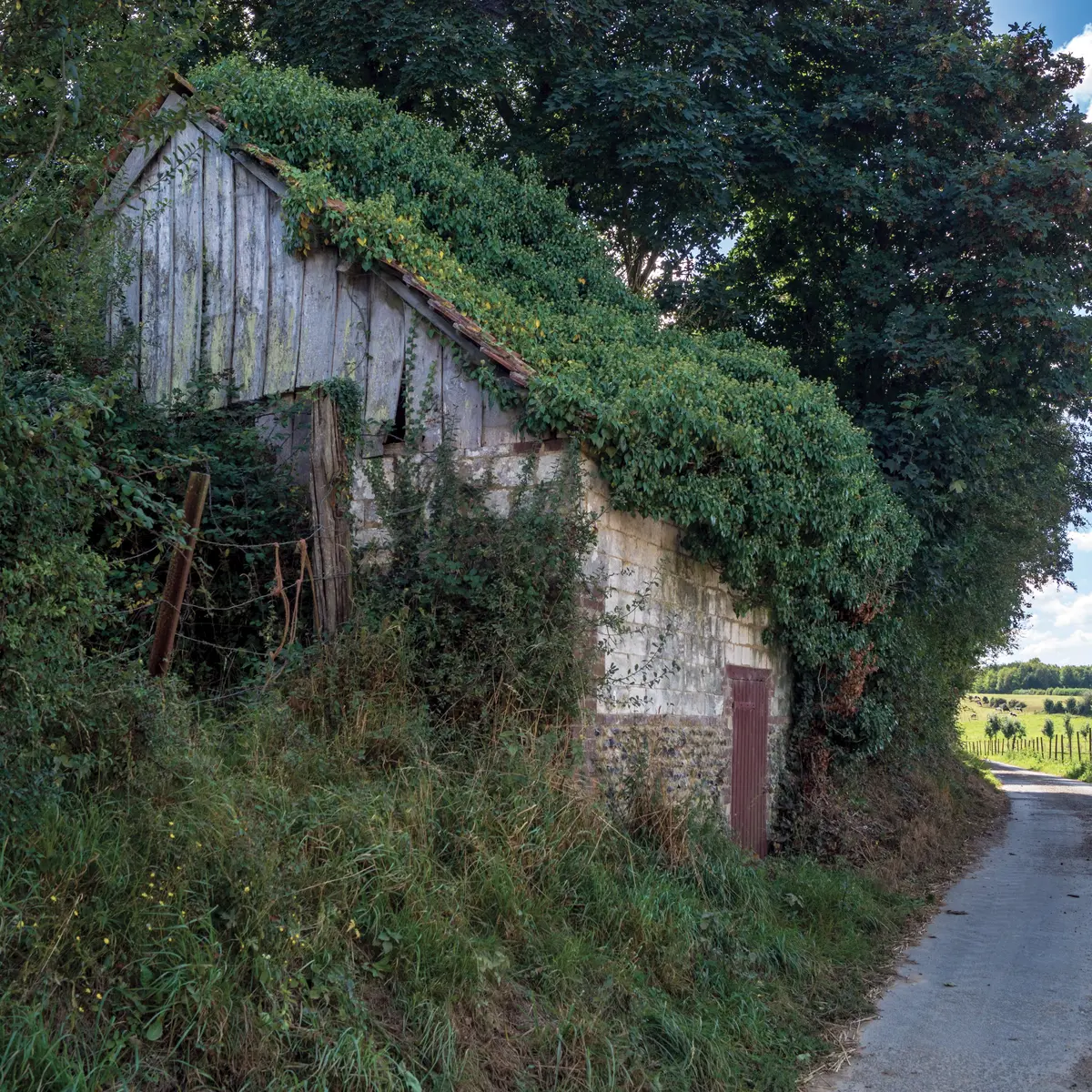 Sentier Les Bonniarts Le Chaufour DELETTES © P.Hudelle, Balades en audomarois (5)