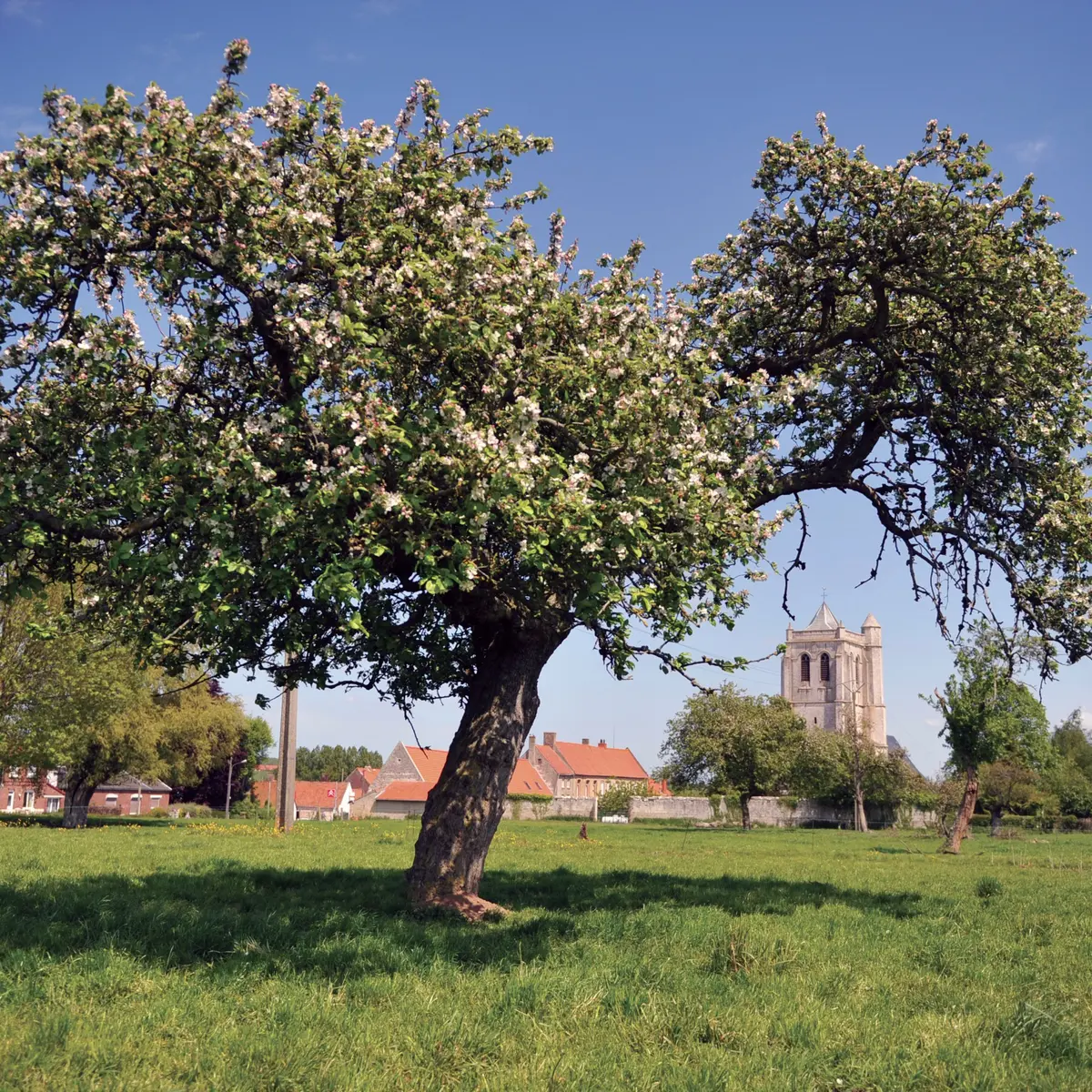 Vue village 2010 EPERLECQUES