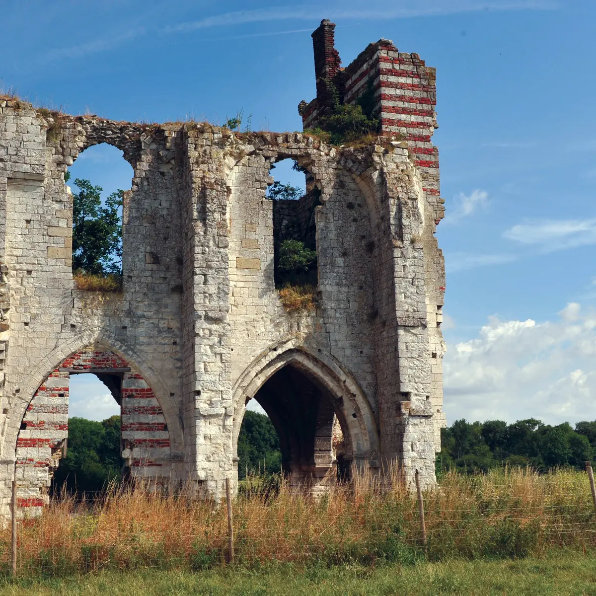 Vestiges de l'Abbaye