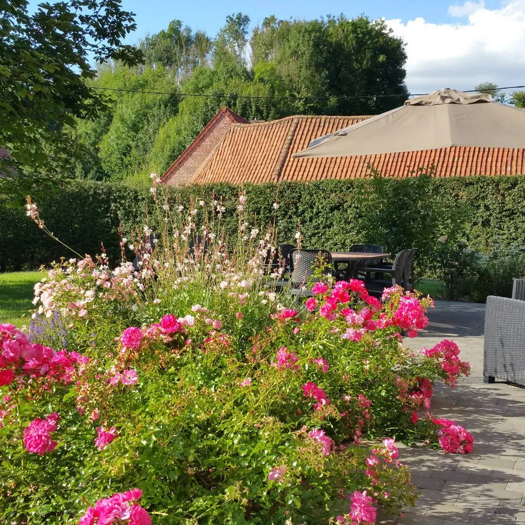 Gîte la Métairie, jardin