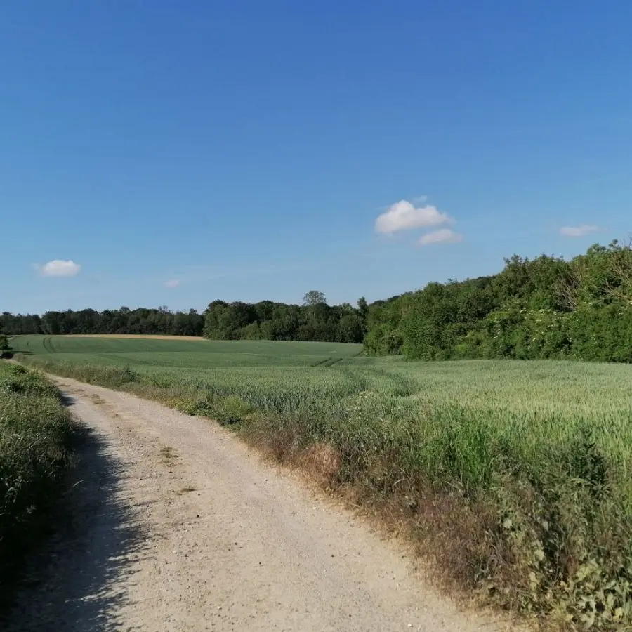 Le Mont de Géant - Wavrans sur l'Aa