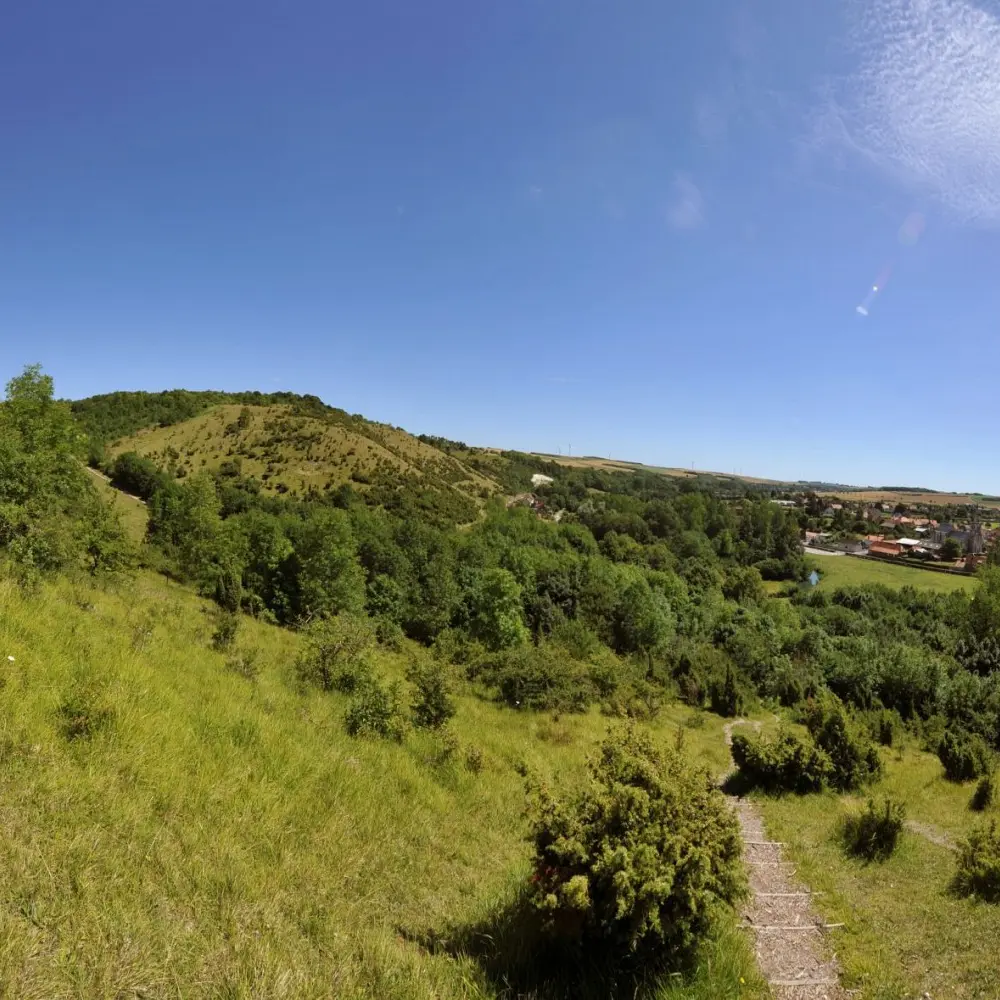 Les Coteaux de l'Aa - Esquerdes
