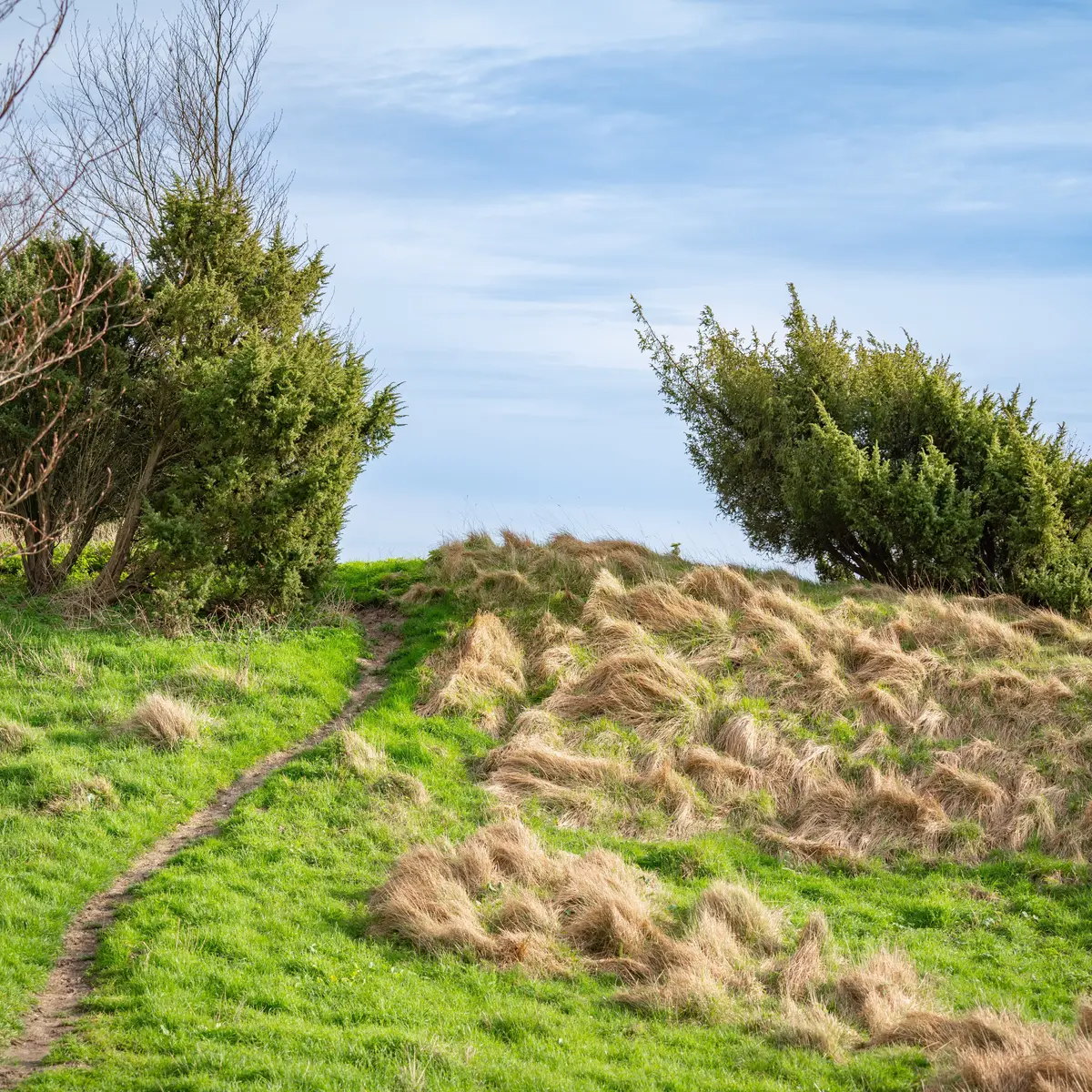 Coteaux de l'Aa - Sentier des Genévriers