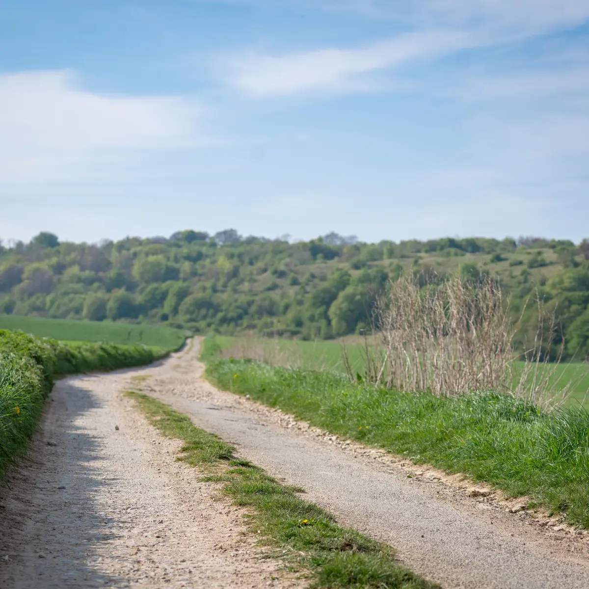 Chapelle Saint-Louis de Guémy - Tournehem-sur-la-Hem