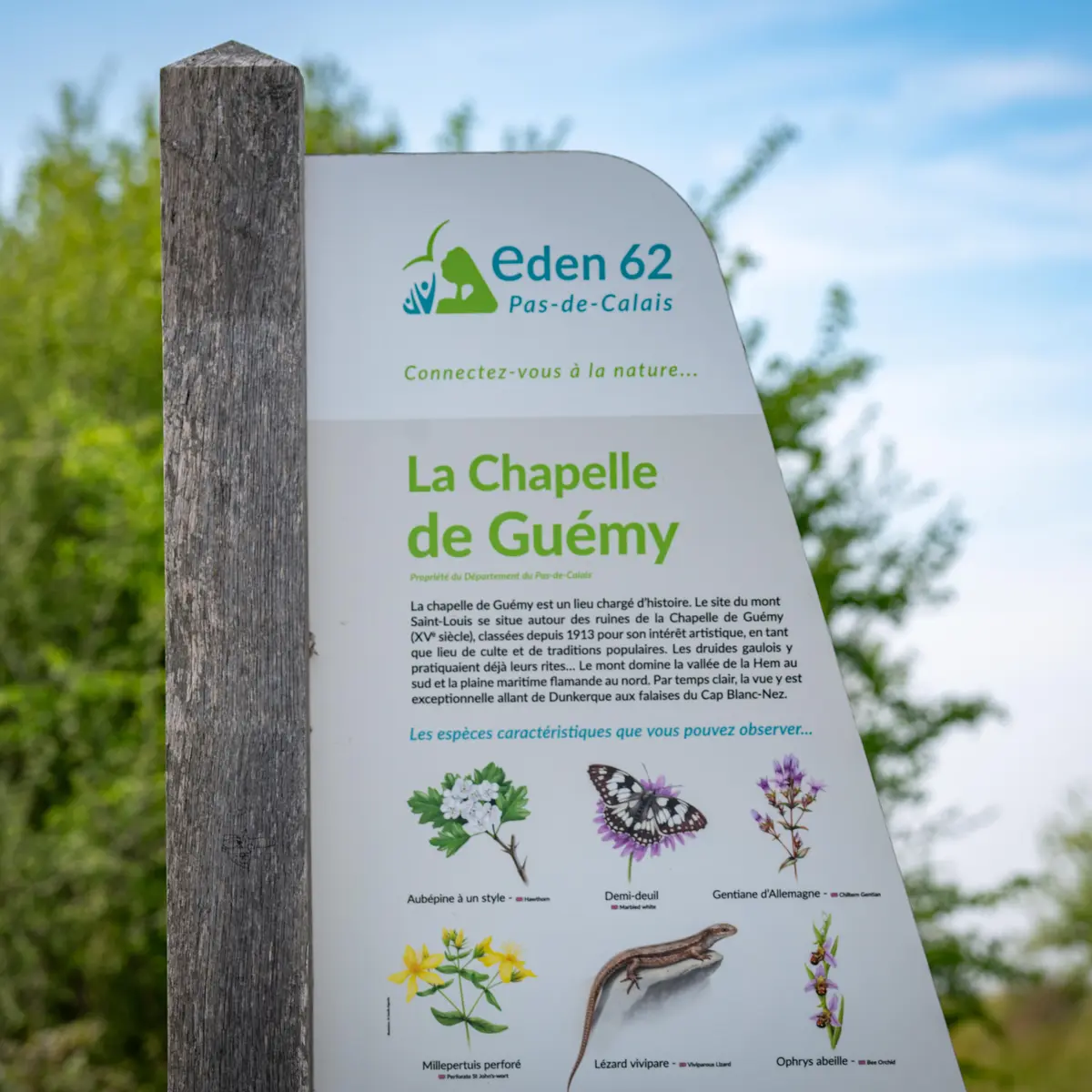 Chapelle Saint-Louis de Guémy - Tournehem-sur-la-Hem