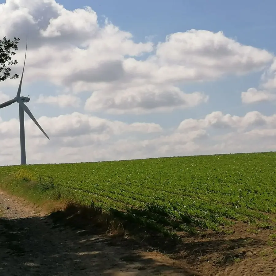 Le Mont de Géant - Wavrans sur l'Aa