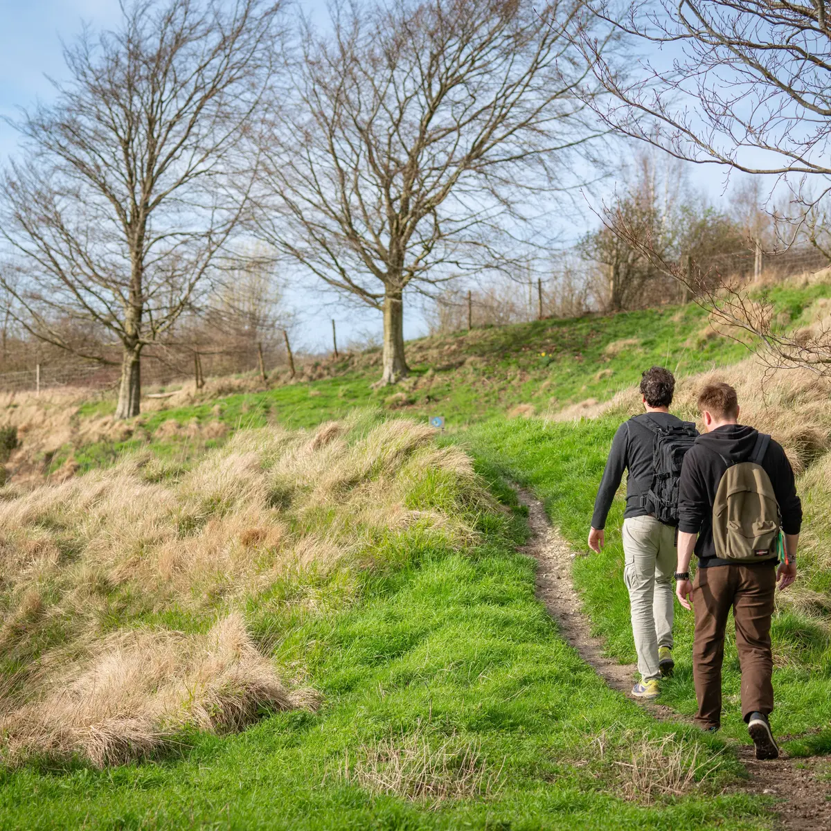 Coteaux de l'Aa - Sentier des Genévriers