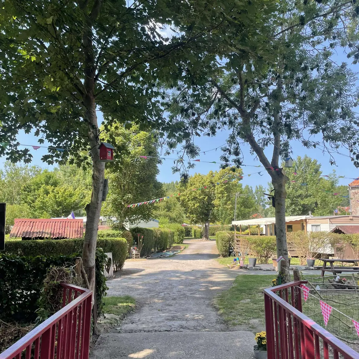 528234769_1068646261715364_8459320542531705029_n