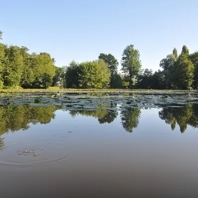 Plan d'eau Dompierre_Crédit C.Thieux (3)