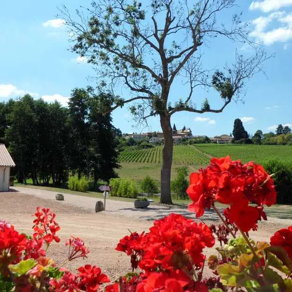 Domaine des Palais