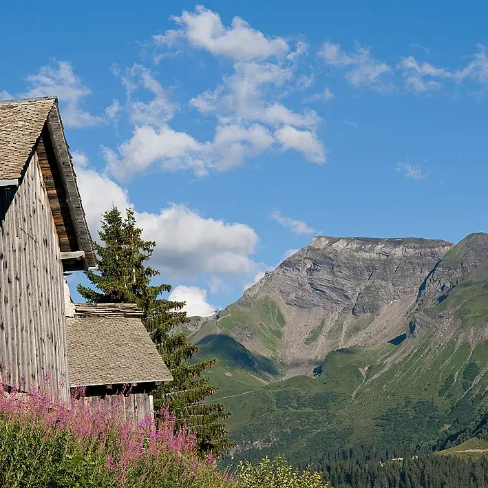 Vue sur les Hauts-Forts