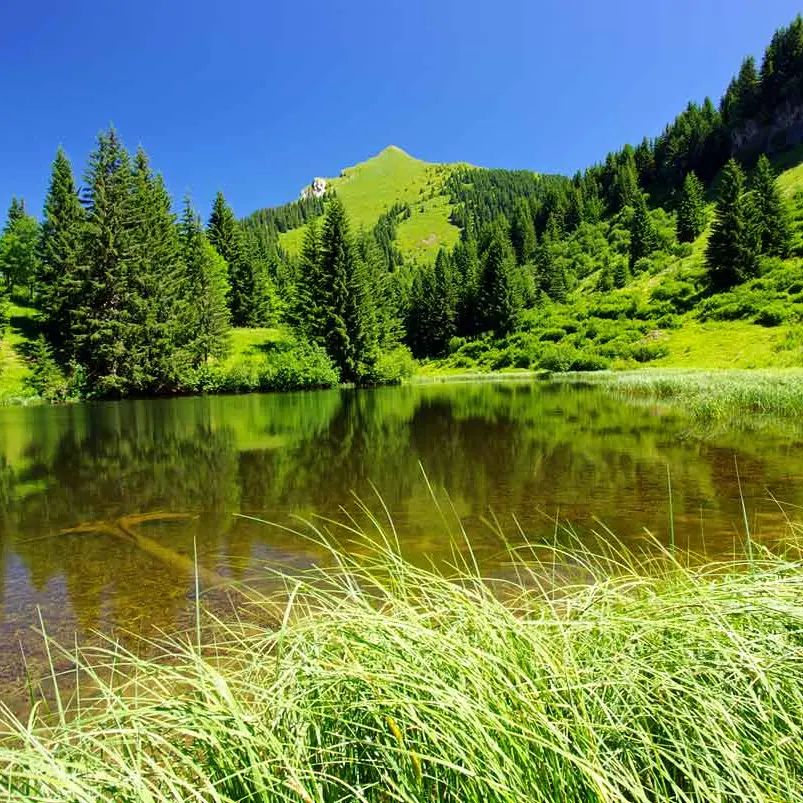 Le lac de Damoz des Moulins au printemps
