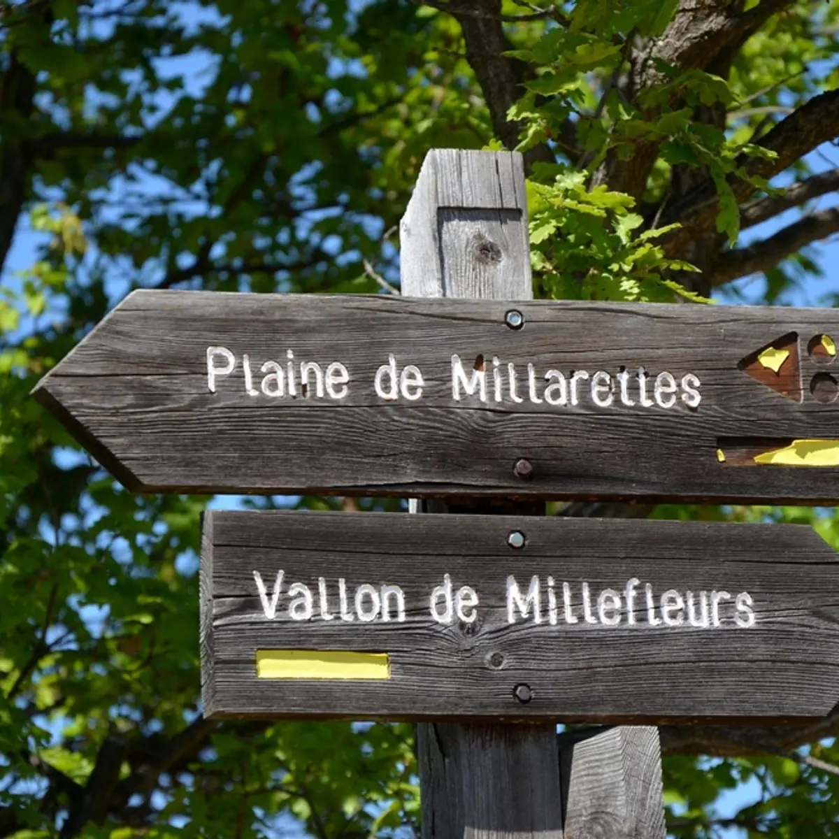 Suivre le bon chemin