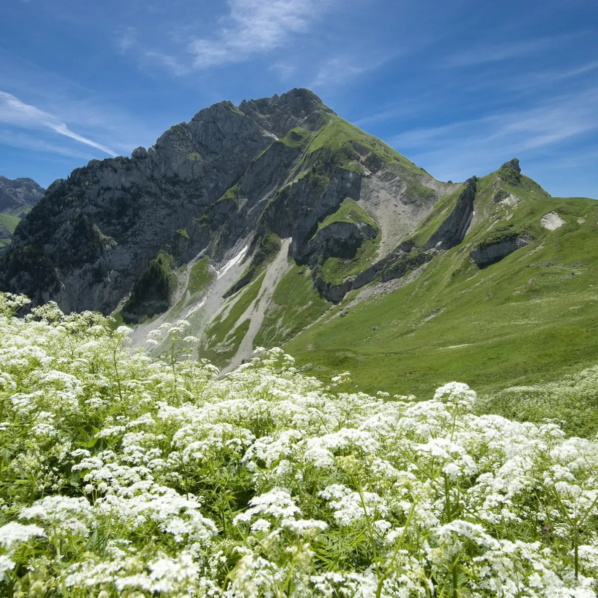 Le mont Trélod