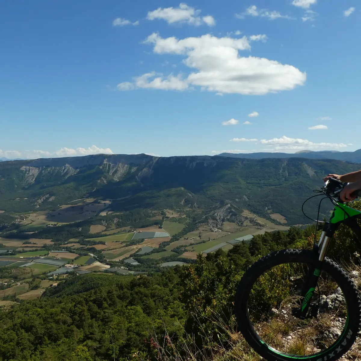 Instant contemplation