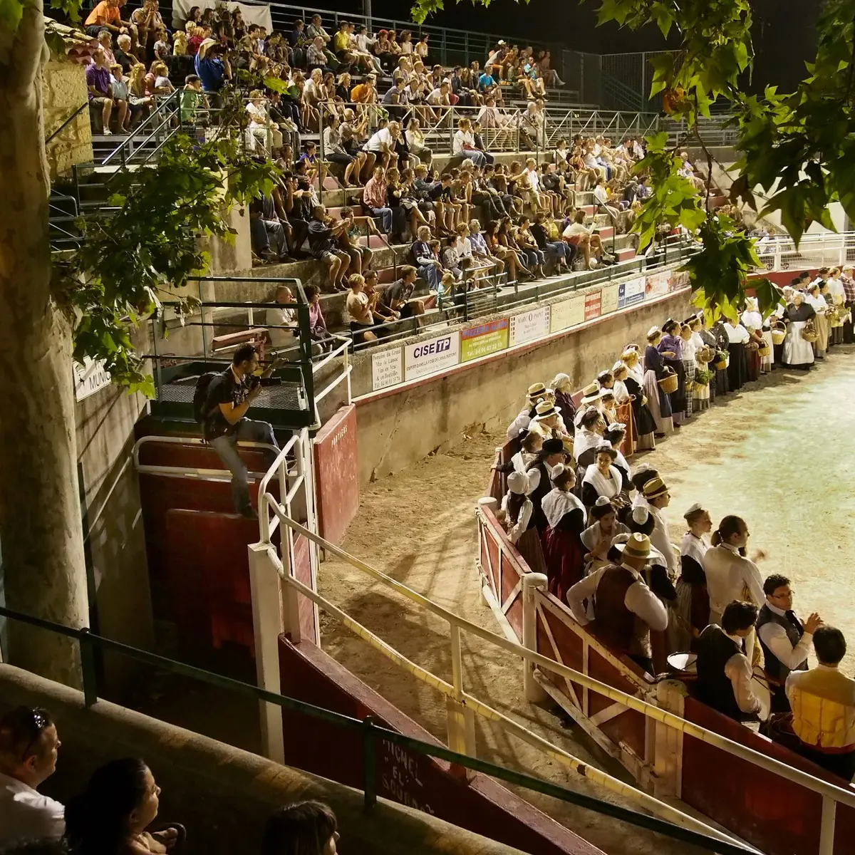 Les Arènes de Fontvieille