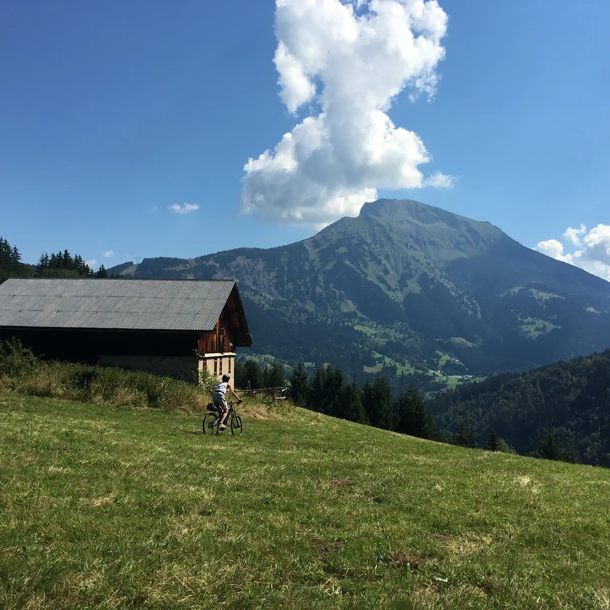 Chalet d'alpage à l'Essert