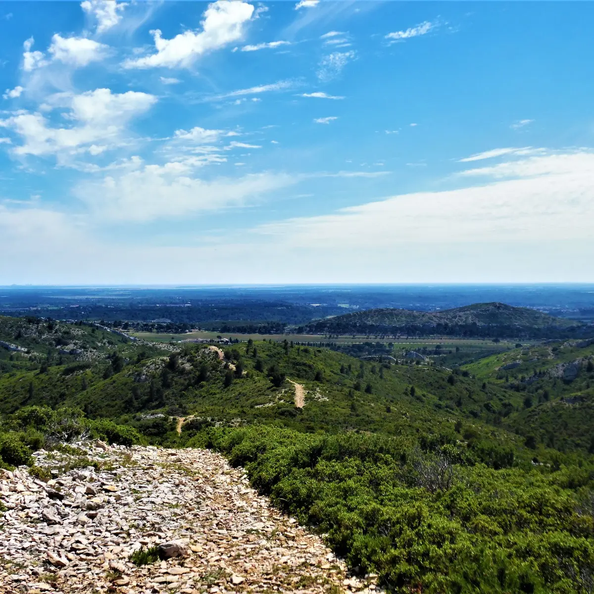 Vue sur la plaine de la Crau