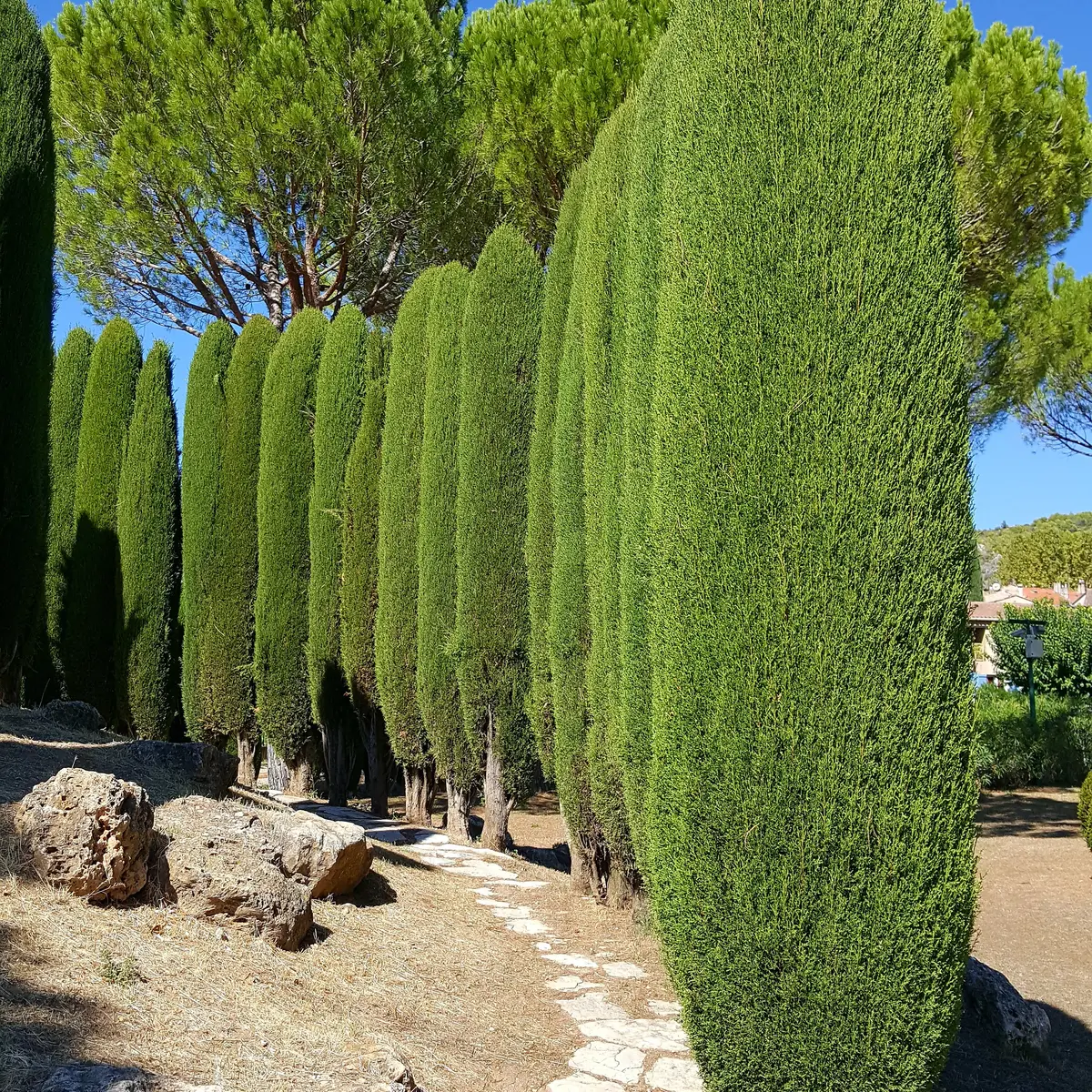 Théâtre de verdure
