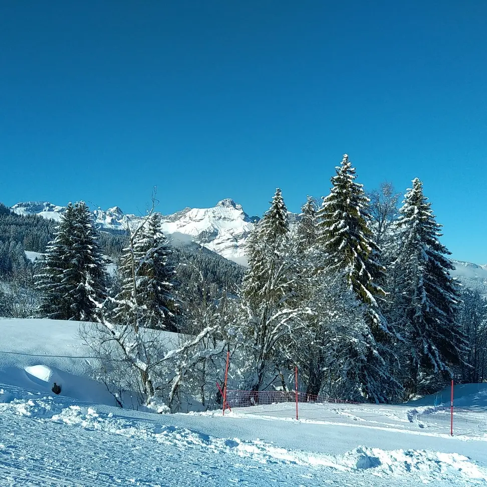 L'espace luge de la Cry à Combloux est située à proximité des pistes de ski alpin face aux 4 Têtes