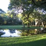 Anne-Marie et Bernard Forestier