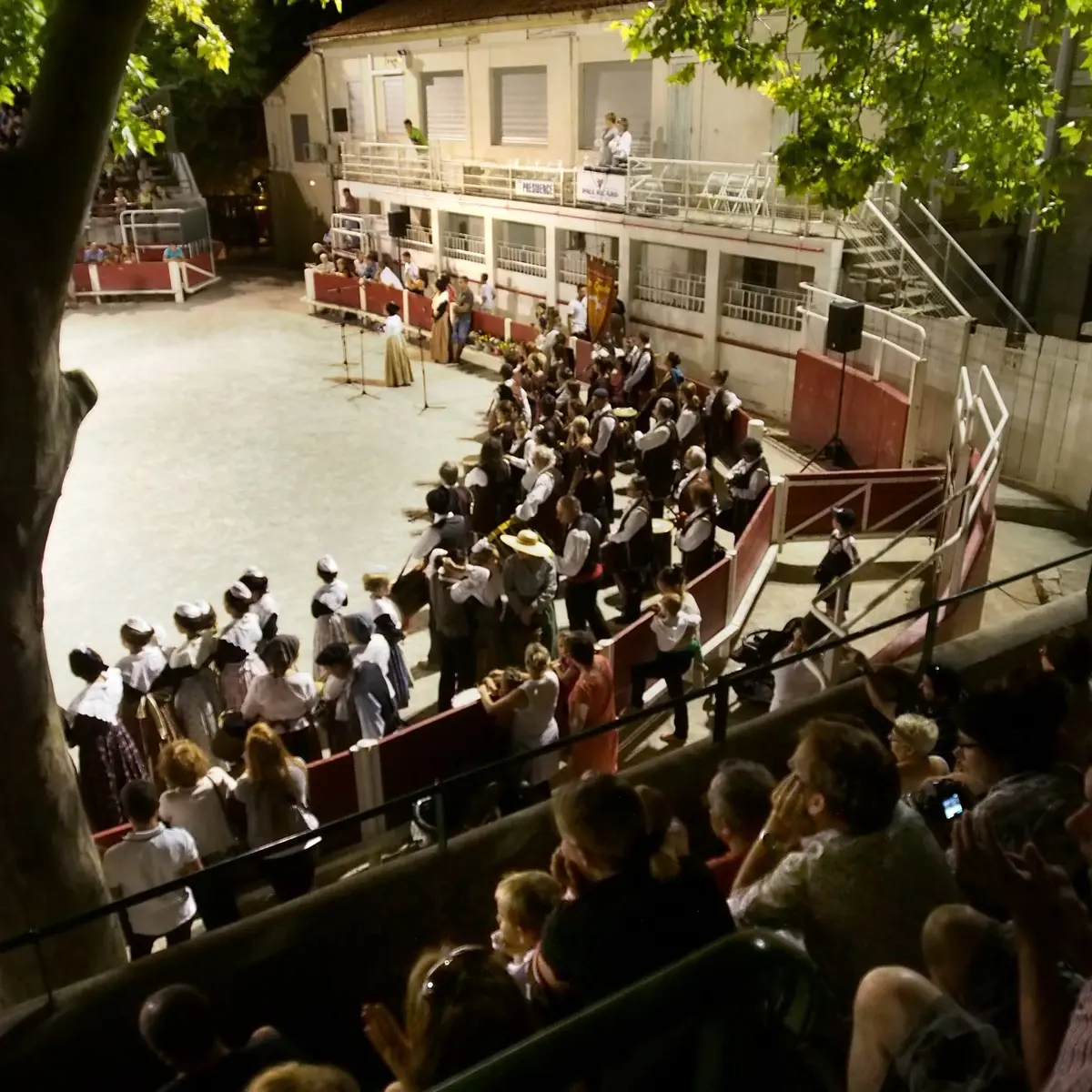 Les Arènes de Fontvieille