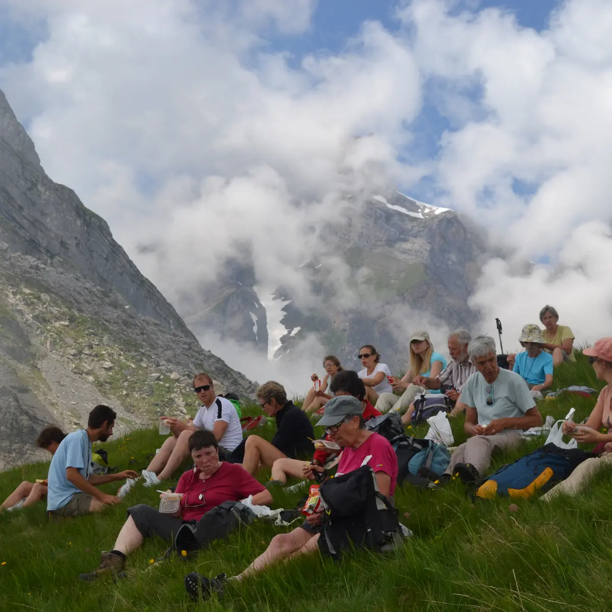 Journée botanique en montagne