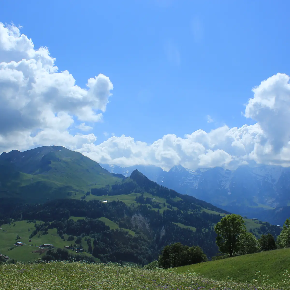 Le Repaire restaurant d'alpage au Grand-Bornand la Culaz