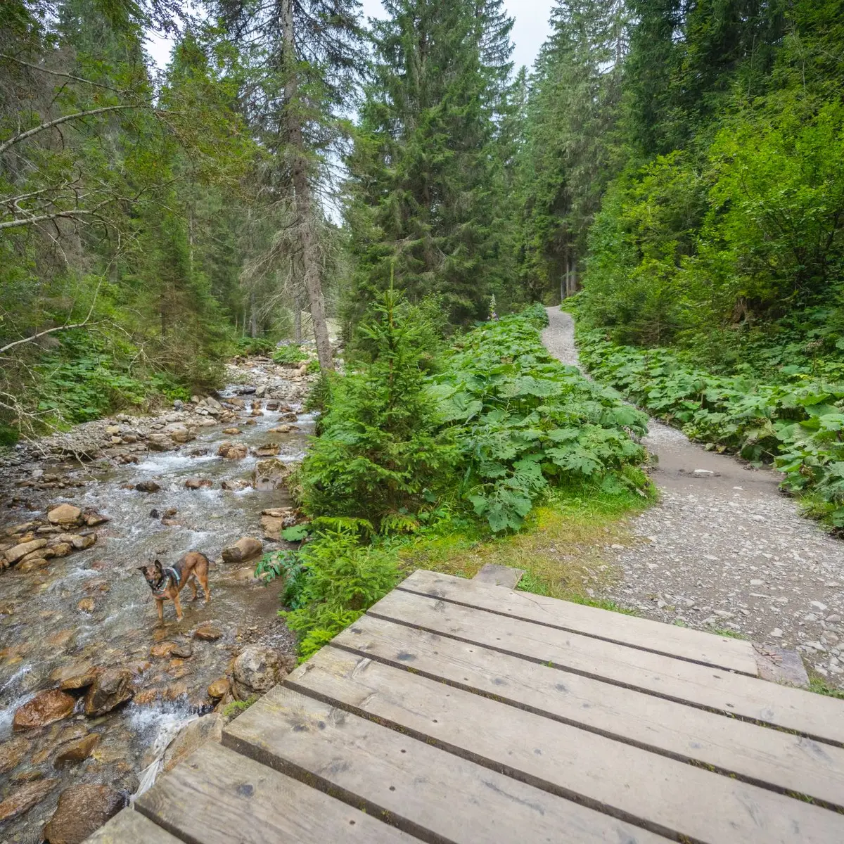 Chemin des ponts