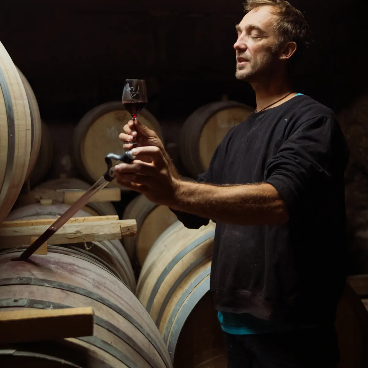 Vin Domaine Les Alpins