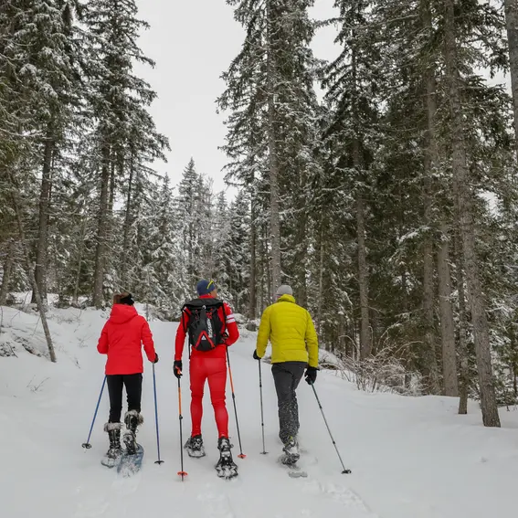 Raquettes ESF Morzine