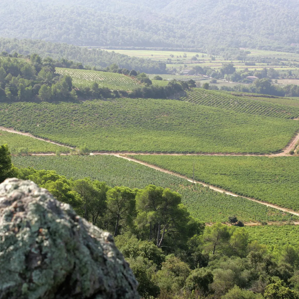 Panorama du Château La Gordonne