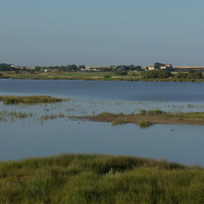 A coastal lagoon, a landscape that has become rare
