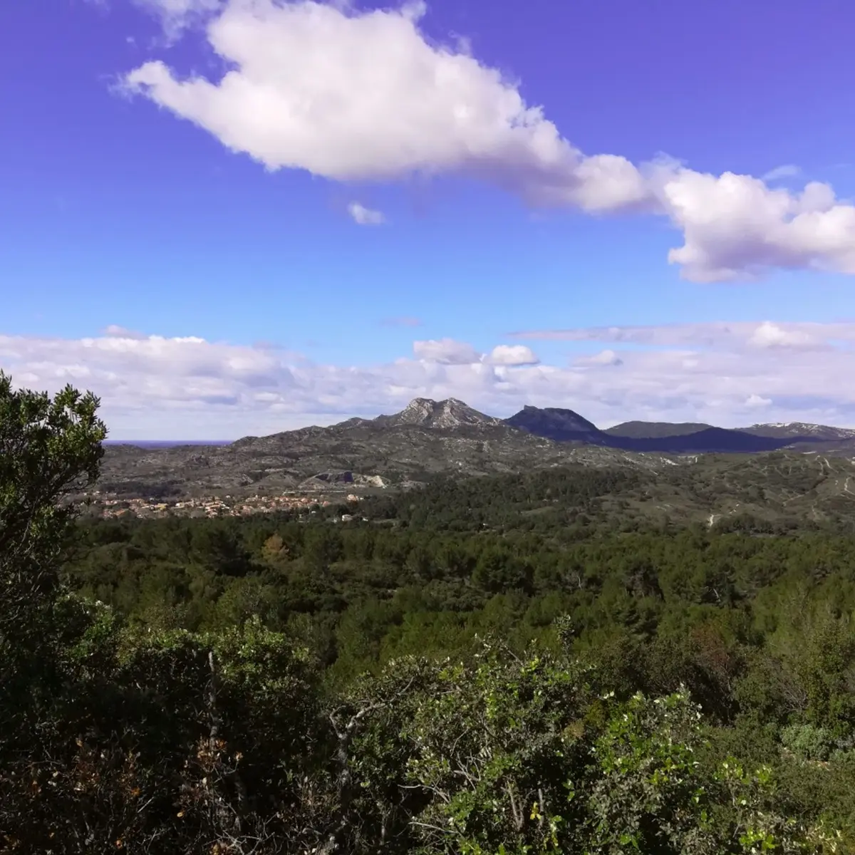 Vue sur les Alpilles