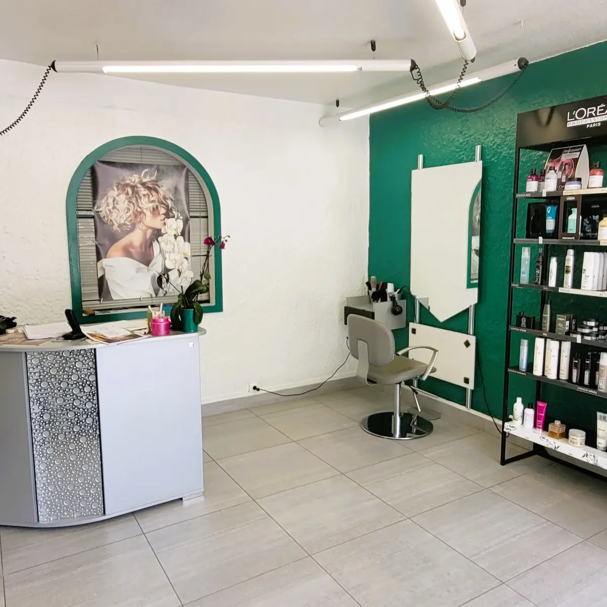 L'entrée du salon