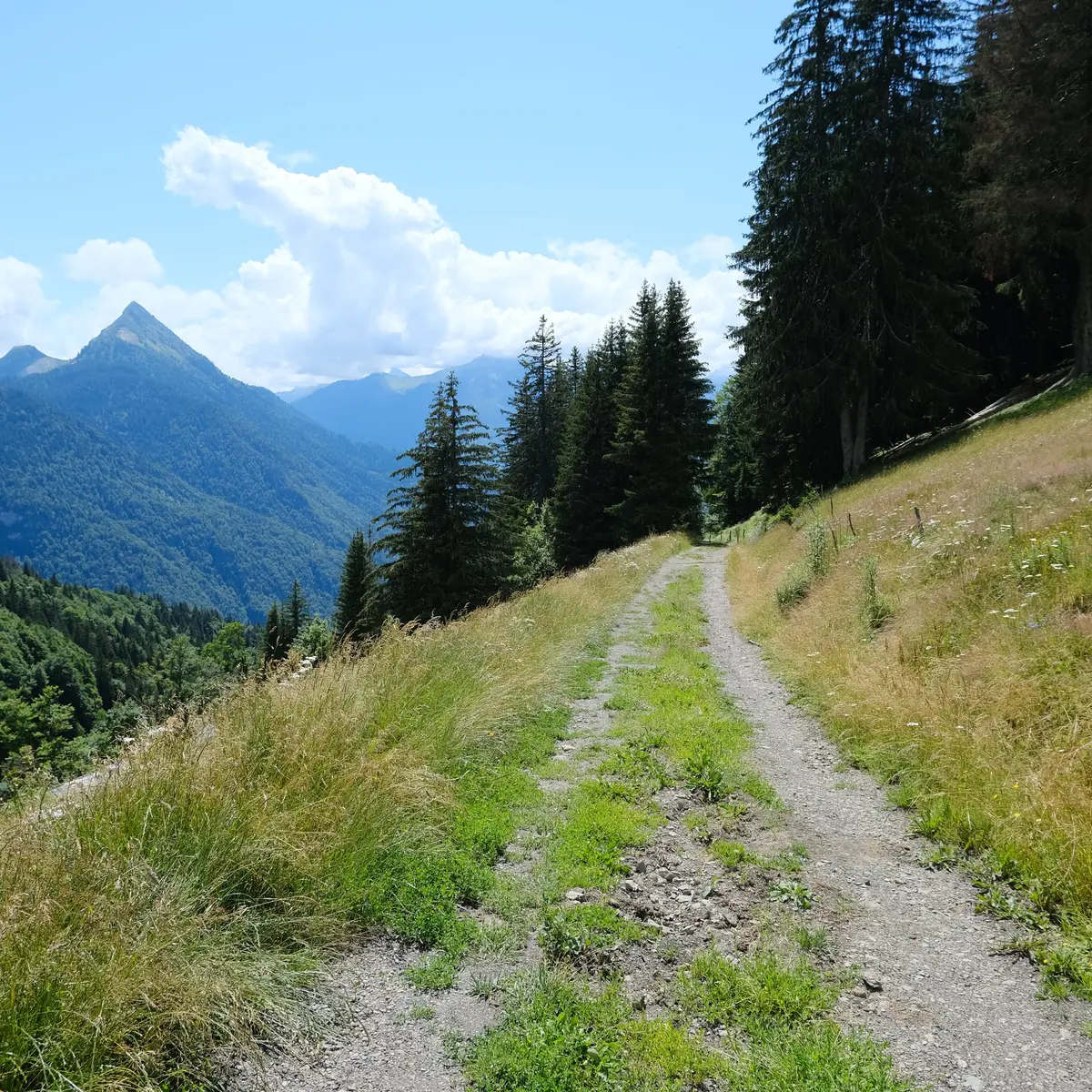 Sentier Tour de la Tulle - photo sous licence Creative Commons CC BY 2.0 https://creativecommons.org/licenses/by/2.0/