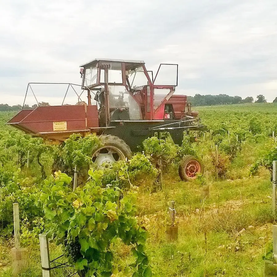 Domaine du Père Papité