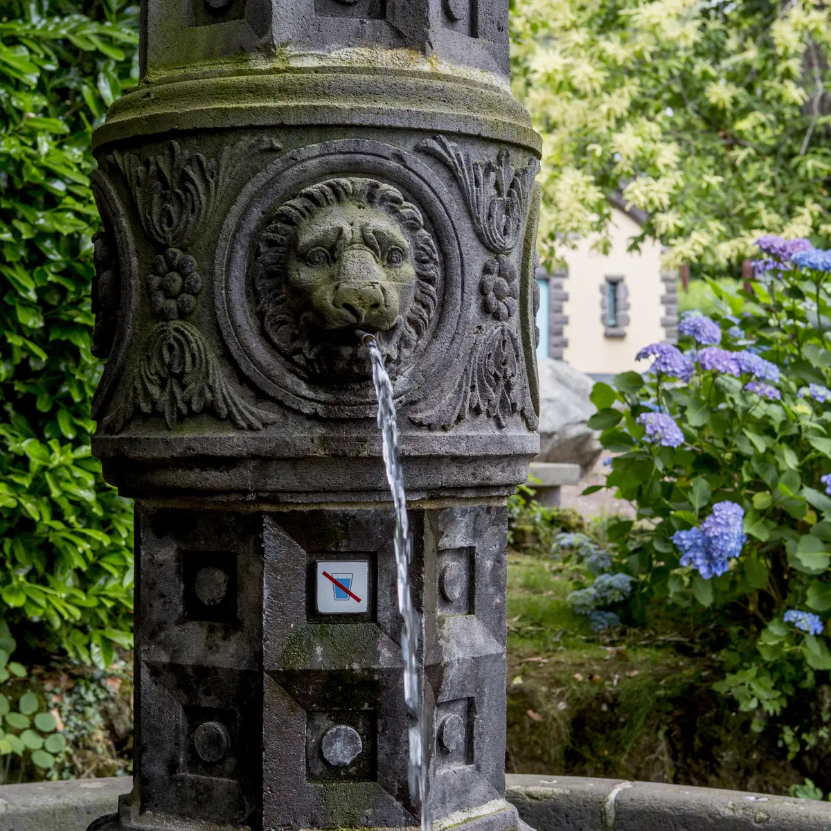Fontaine au Goulet