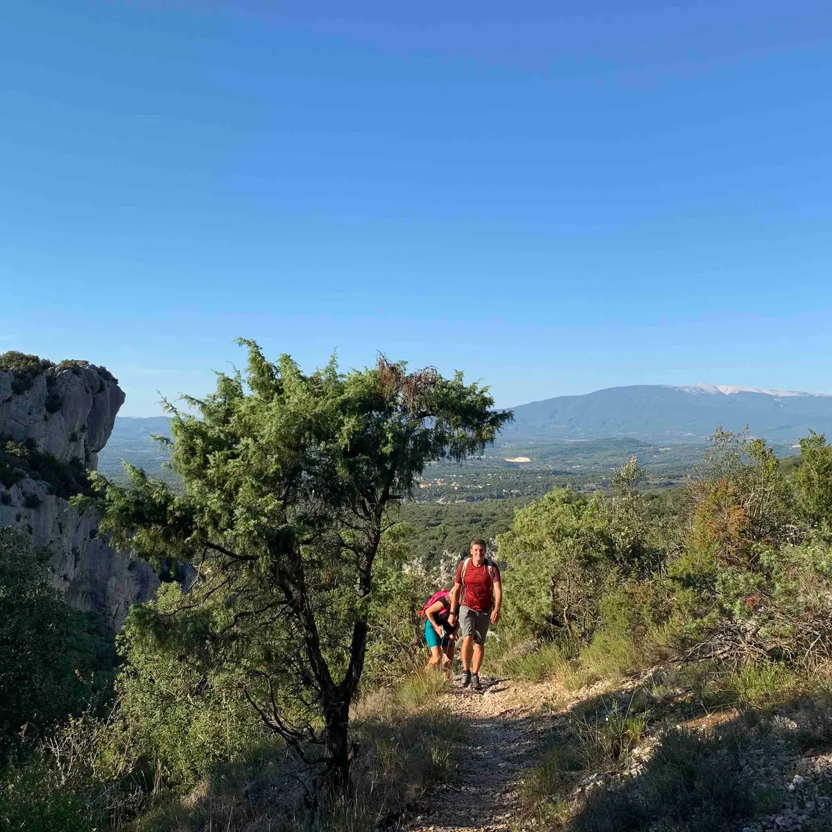 Panorama sur le Ventoux