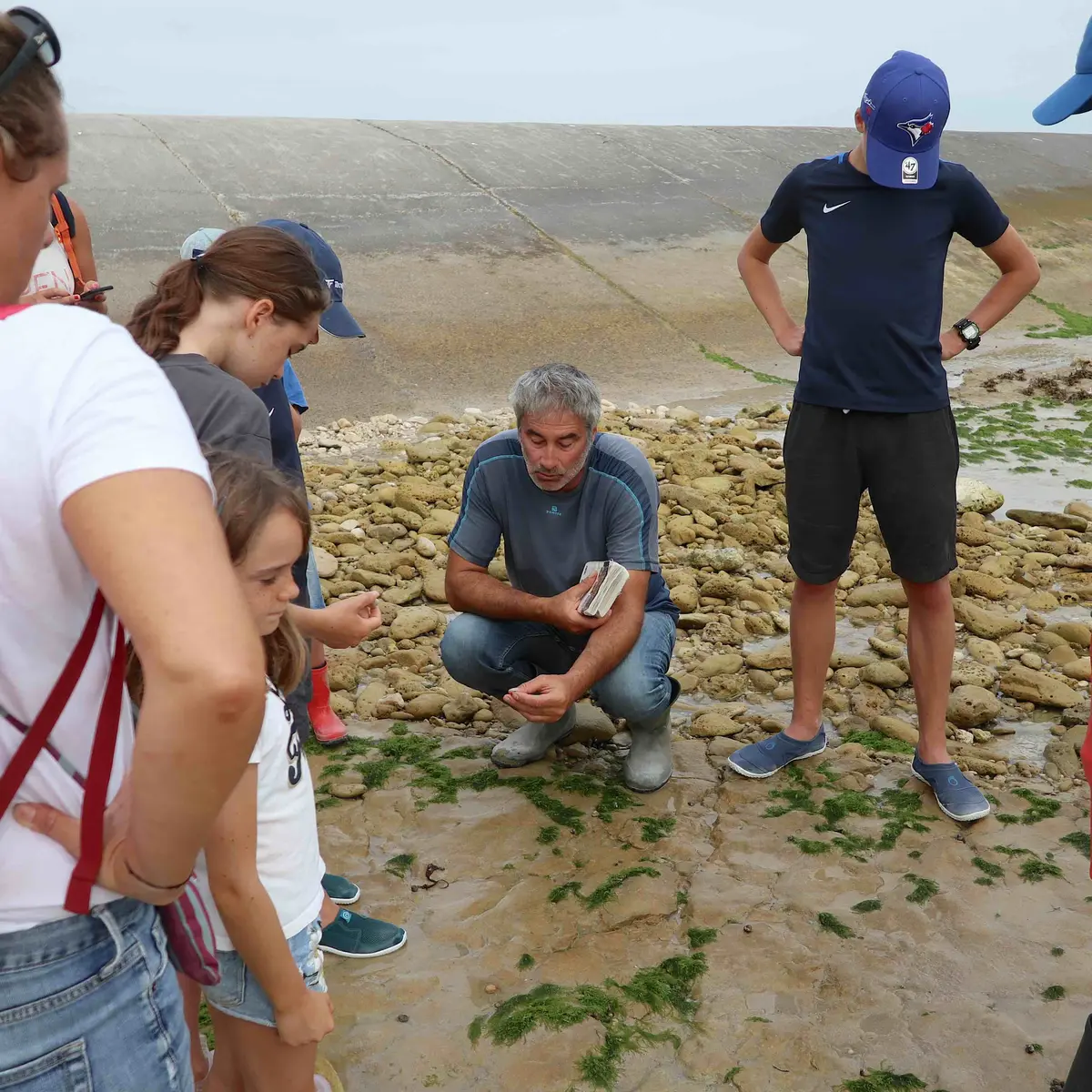 Découverte de l'estran