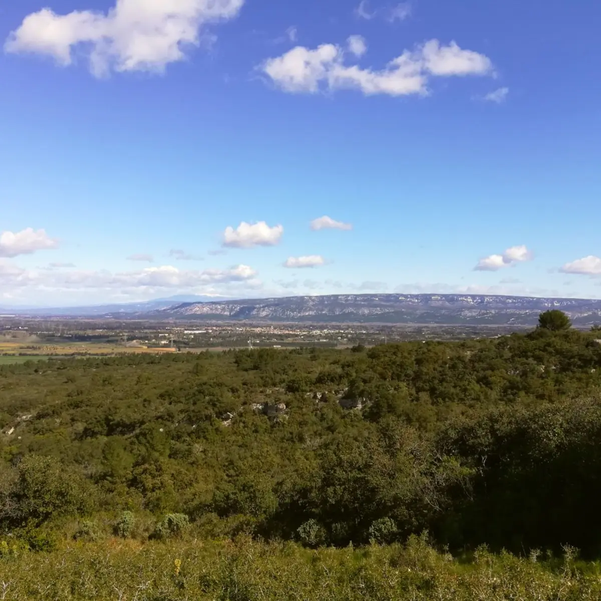 Vue sur le Luberon