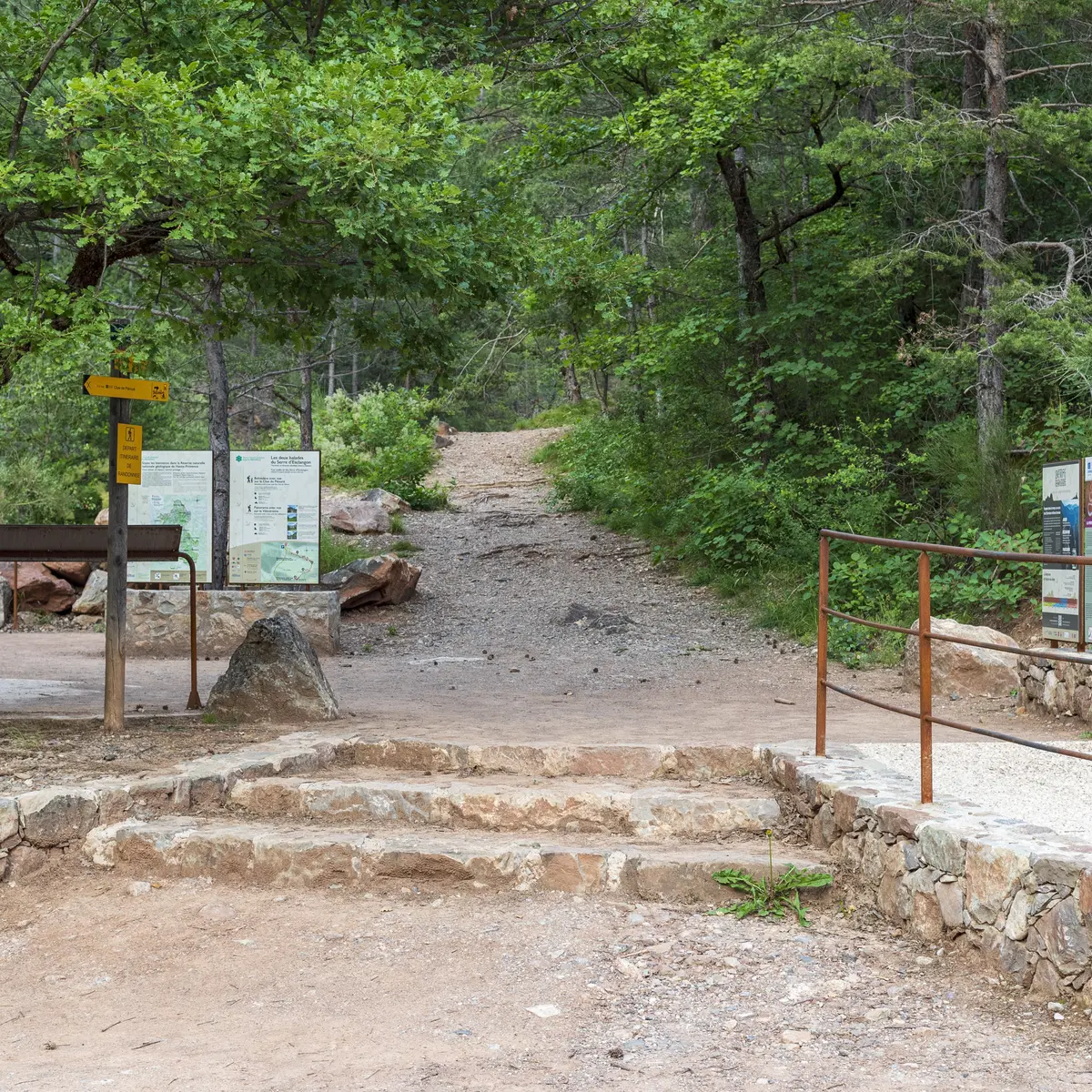 Les empreintes de pas d'oiseaux