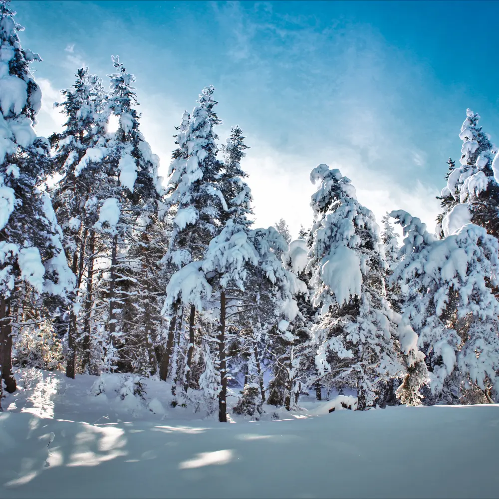 Tour de St Philippe en raquettes, Ancelle