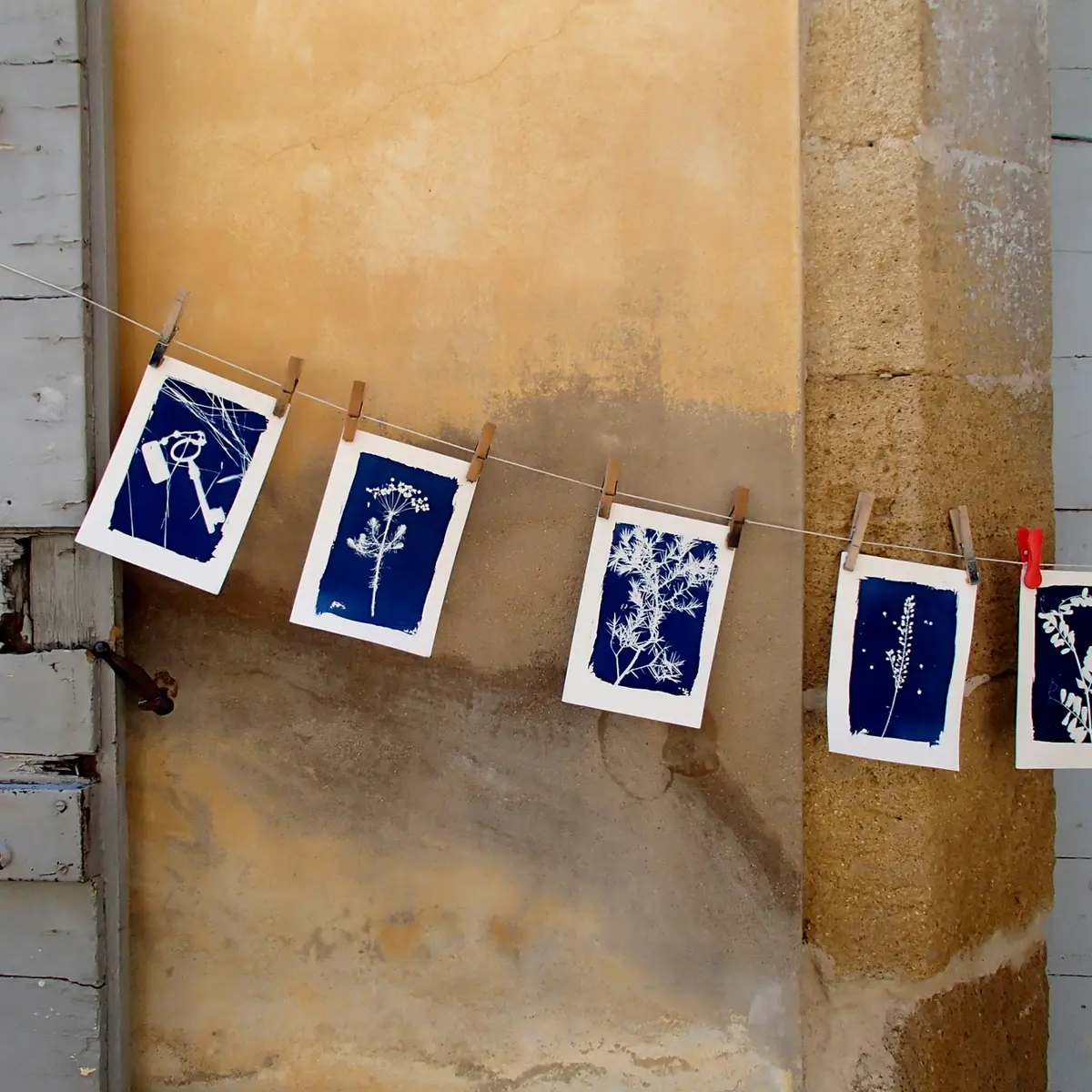 Initiation au cyanotype