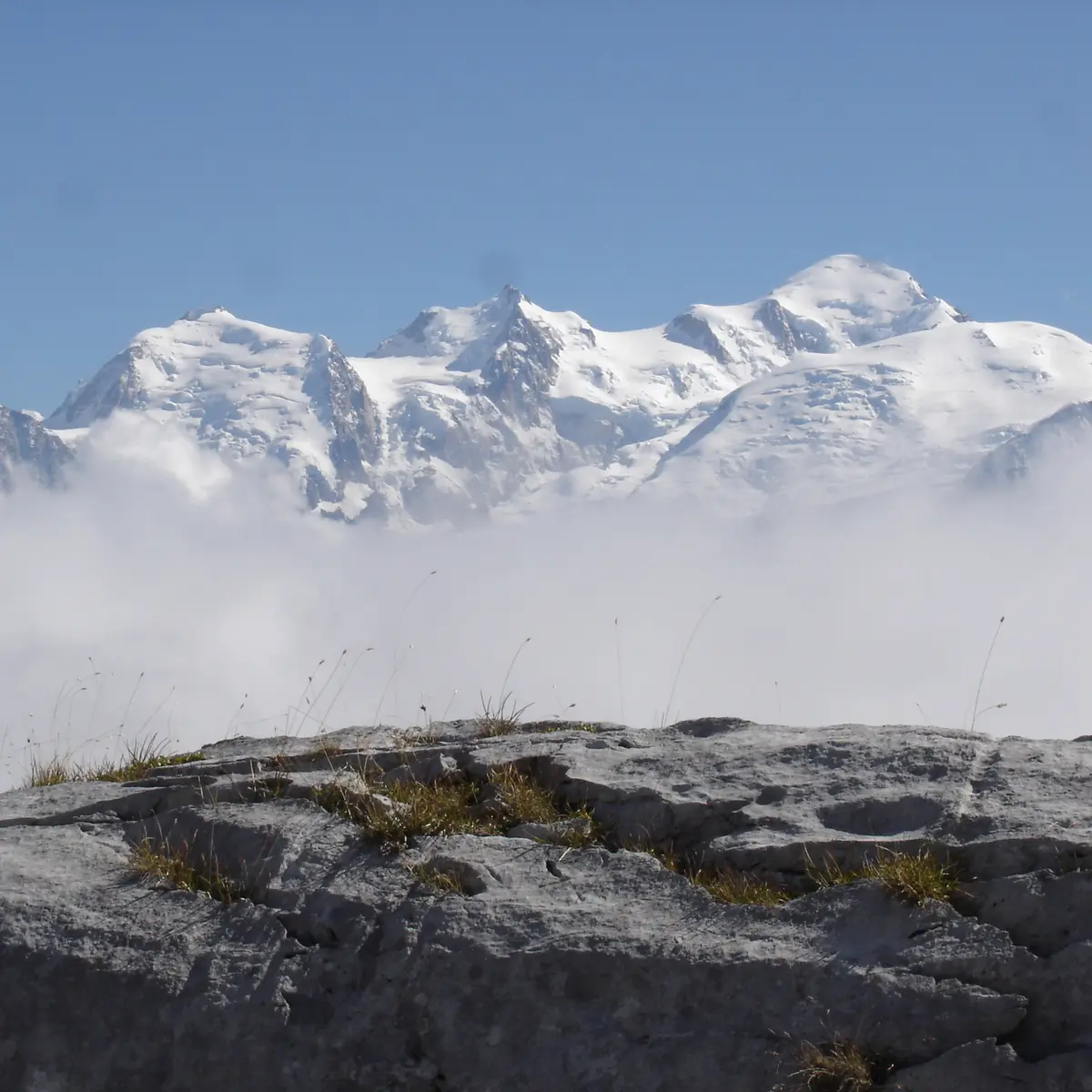vue Mont Blanc