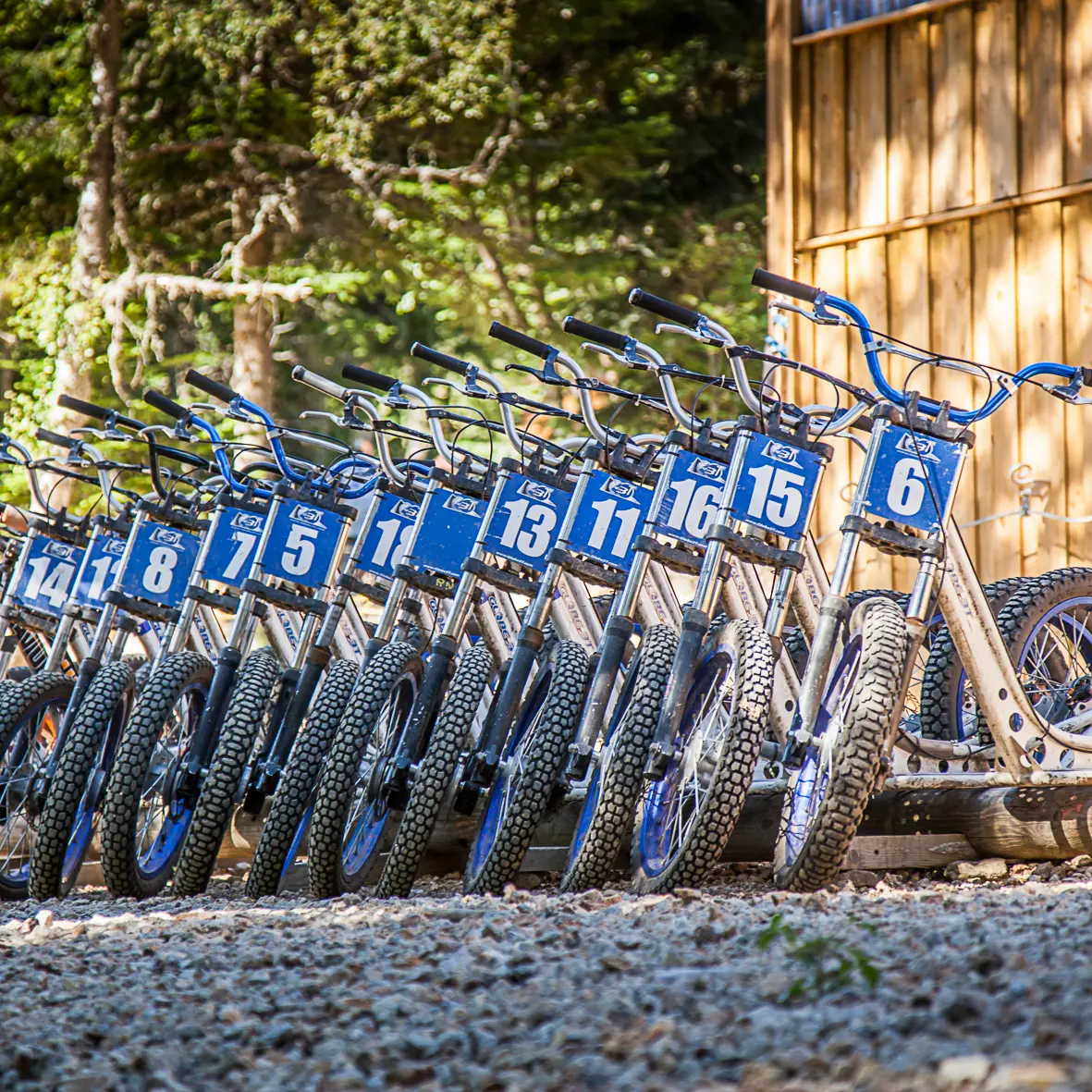 Trottinettes de descente
