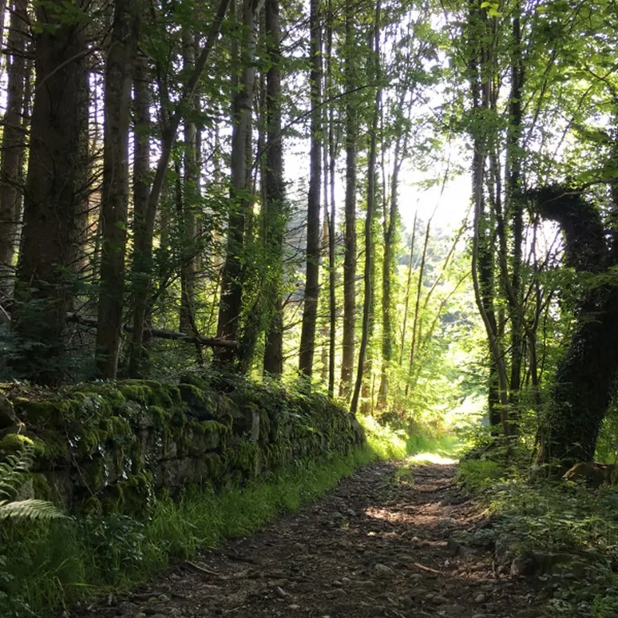 Ce parcours vous conduit dans une ambiance forestière jusqu’au Col des Allebasses, pour découvrir ensuite les vestiges de l’activité papetière du XVe siècle.